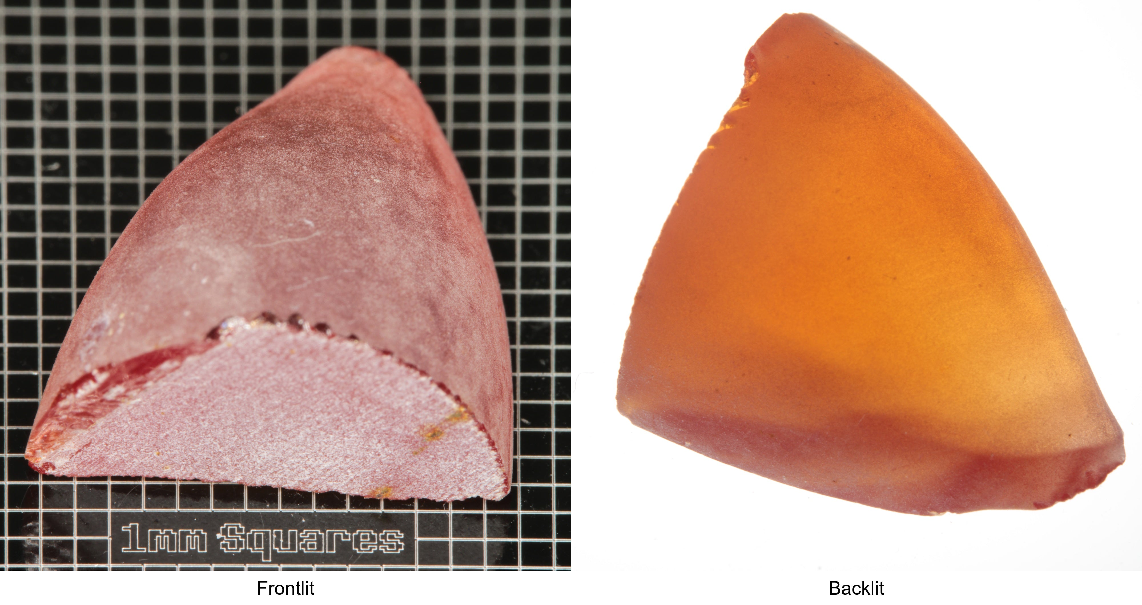 Rough Orange Flame Fusion Sapphire, Semicone Shaped Piece shown in both normal light and backlit.