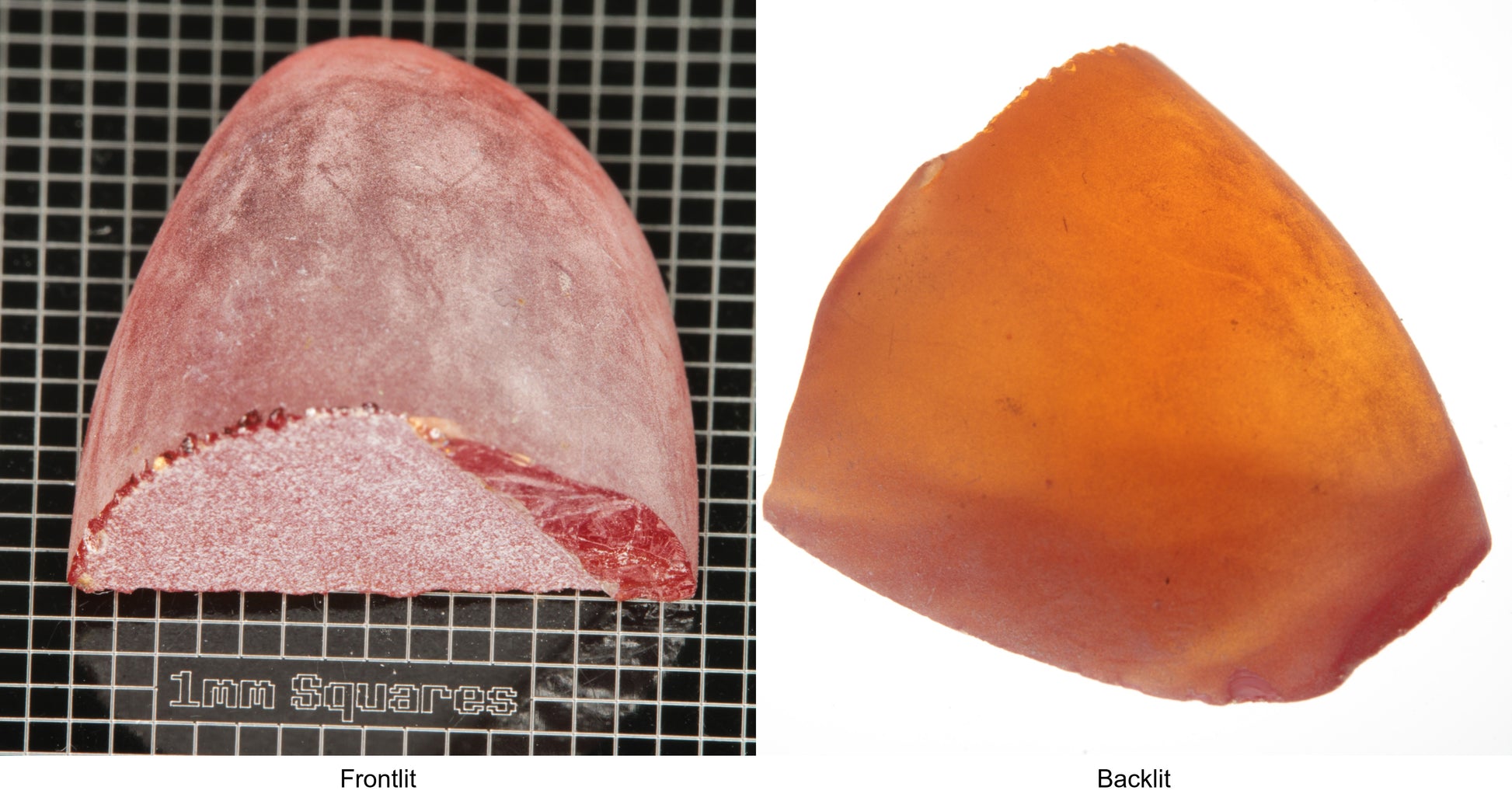 Rough Orange Flame Fusion Sapphire, Semicone Shaped Piece shown in both normal light and backlit.