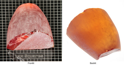 Rough Orange Flame Fusion Sapphire, Semicone Shaped Piece shown in both normal light and backlit.