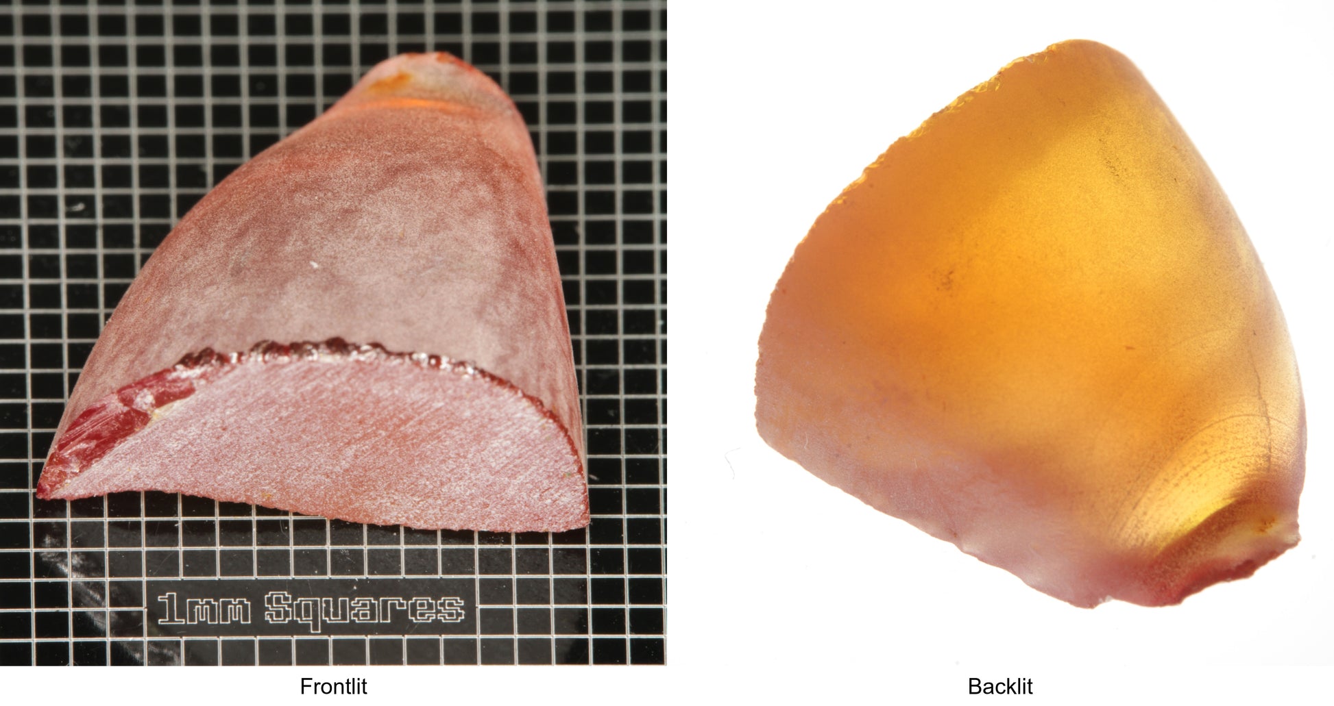 Rough Orange Flame Fusion Sapphire, Semicone Shaped Piece shown in both normal light and backlit.