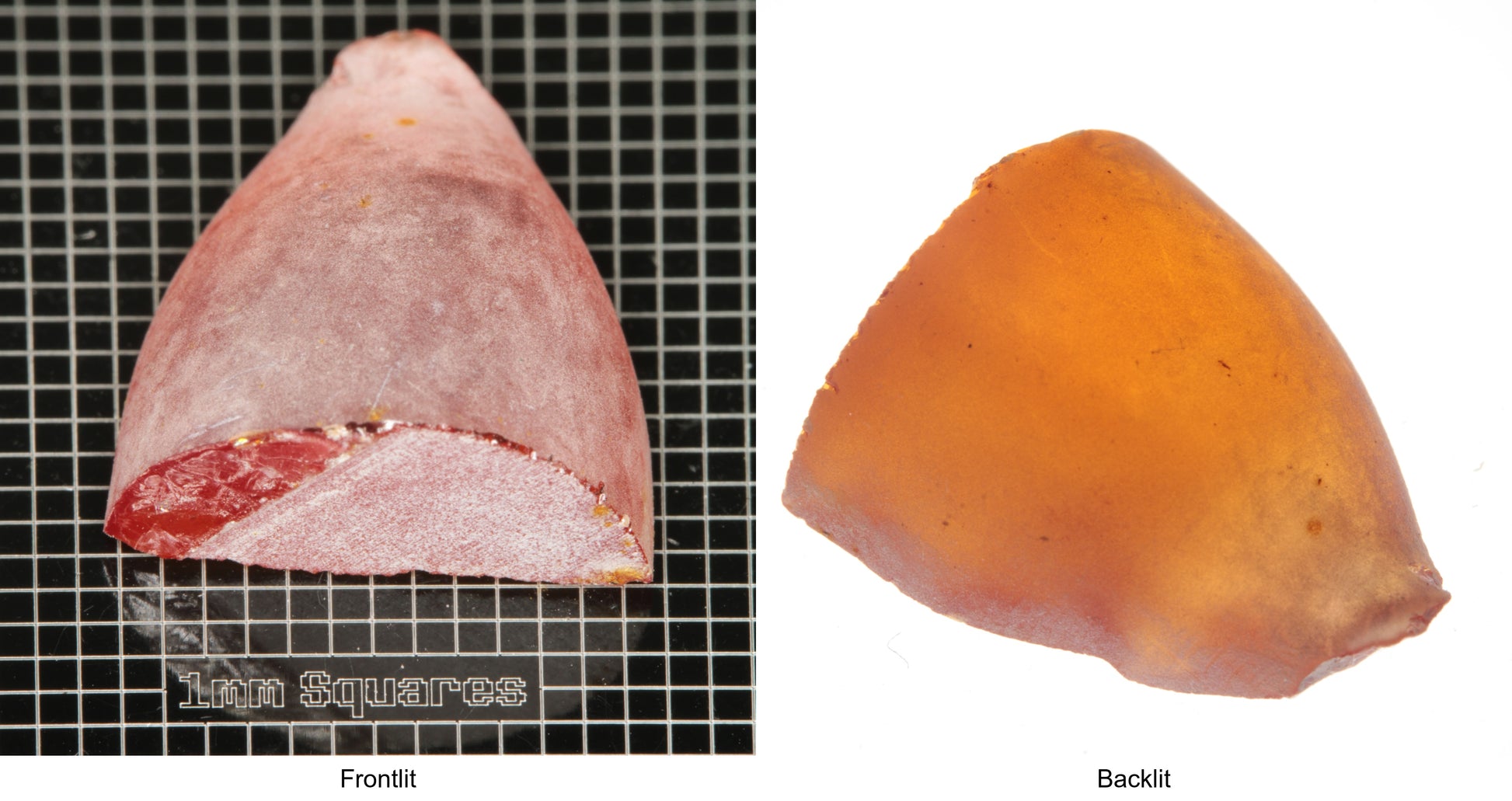 Rough Orange Flame Fusion Sapphire, Semicone Shaped Piece shown in both normal light and backlit.