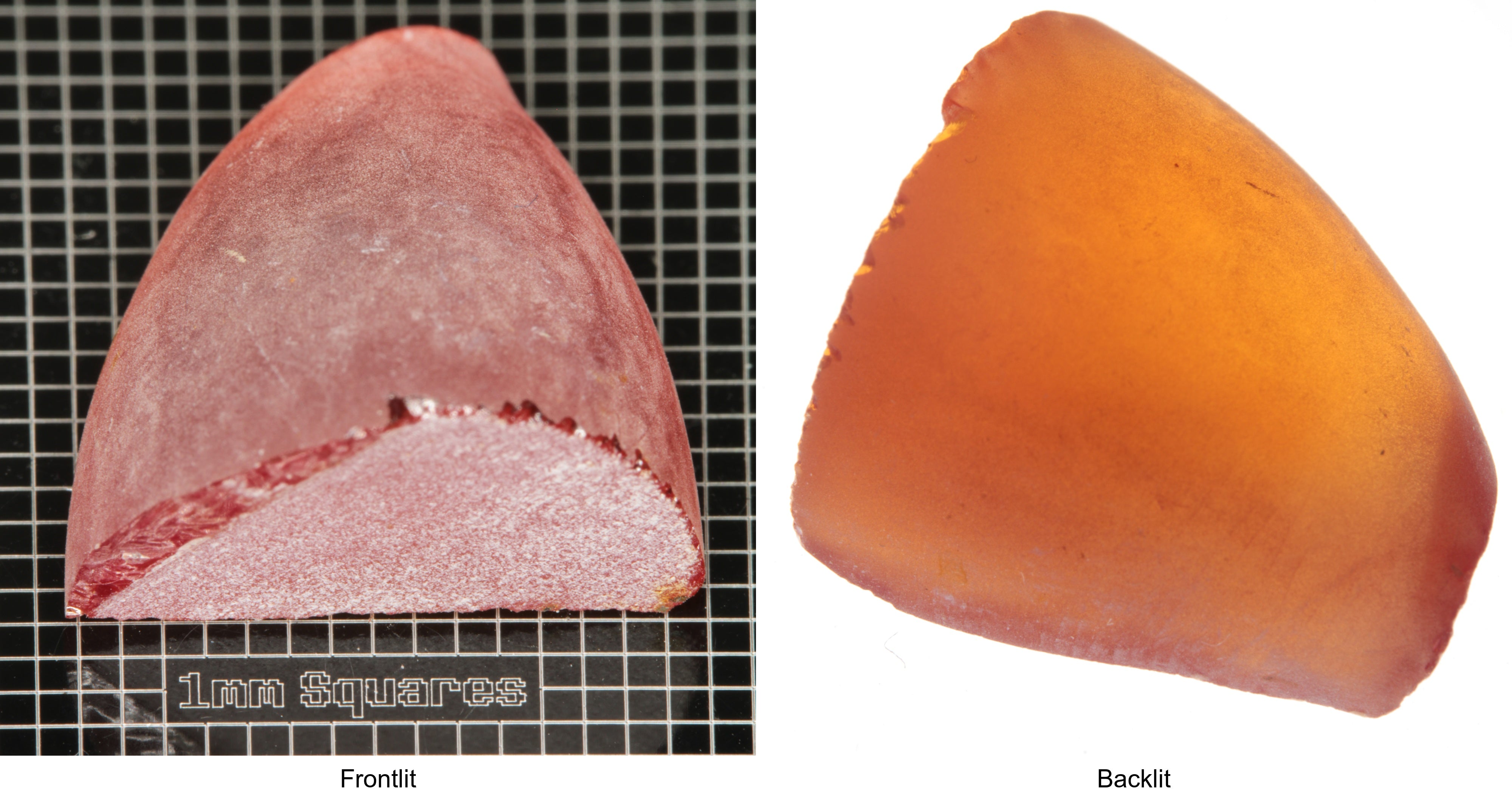Rough Orange Flame Fusion Sapphire, Semicone Shaped Piece shown in both normal light and backlit.