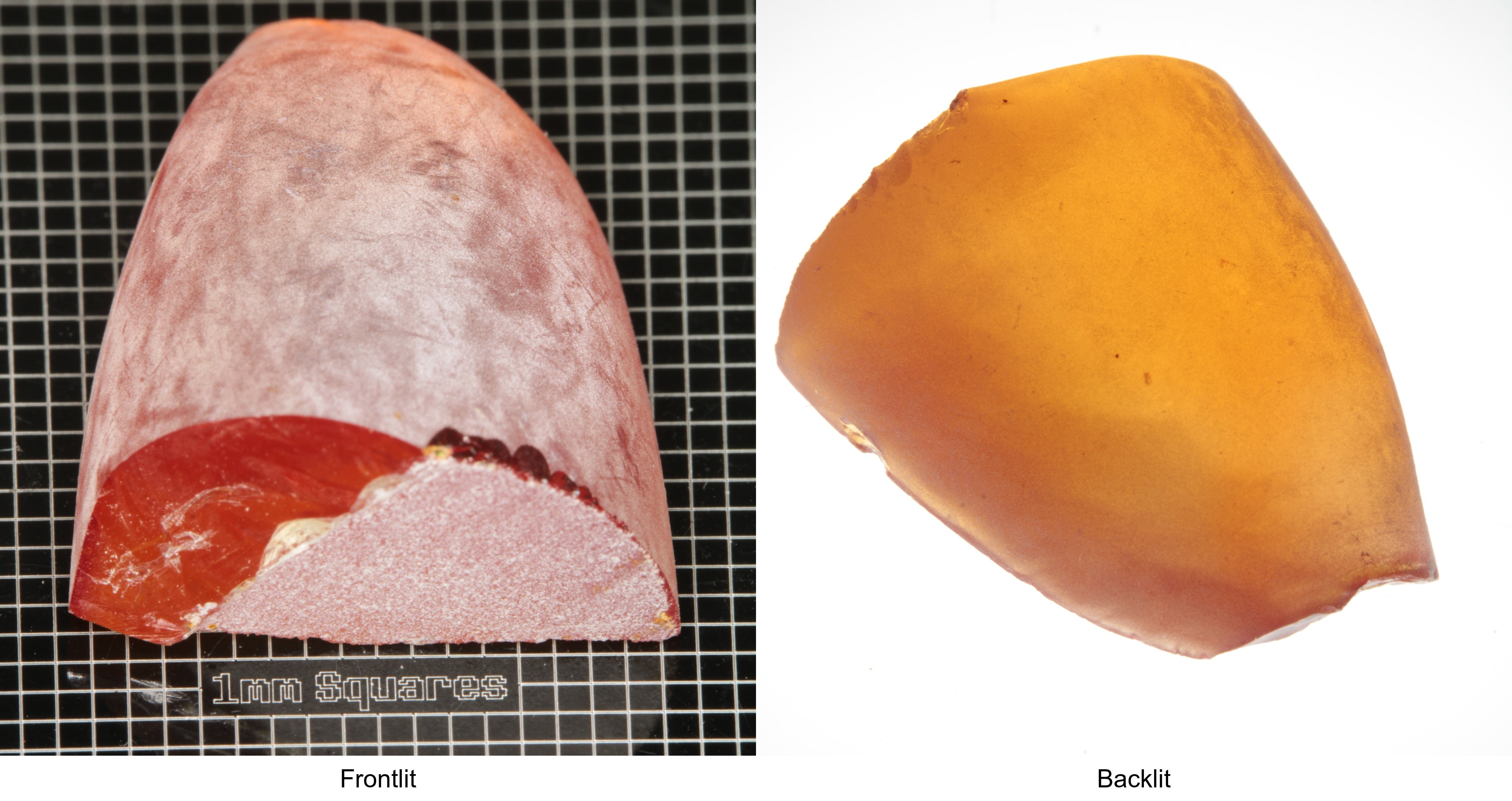 Rough Orange Flame Fusion Sapphire, Semicone Shaped Piece shown in both normal light and backlit.
