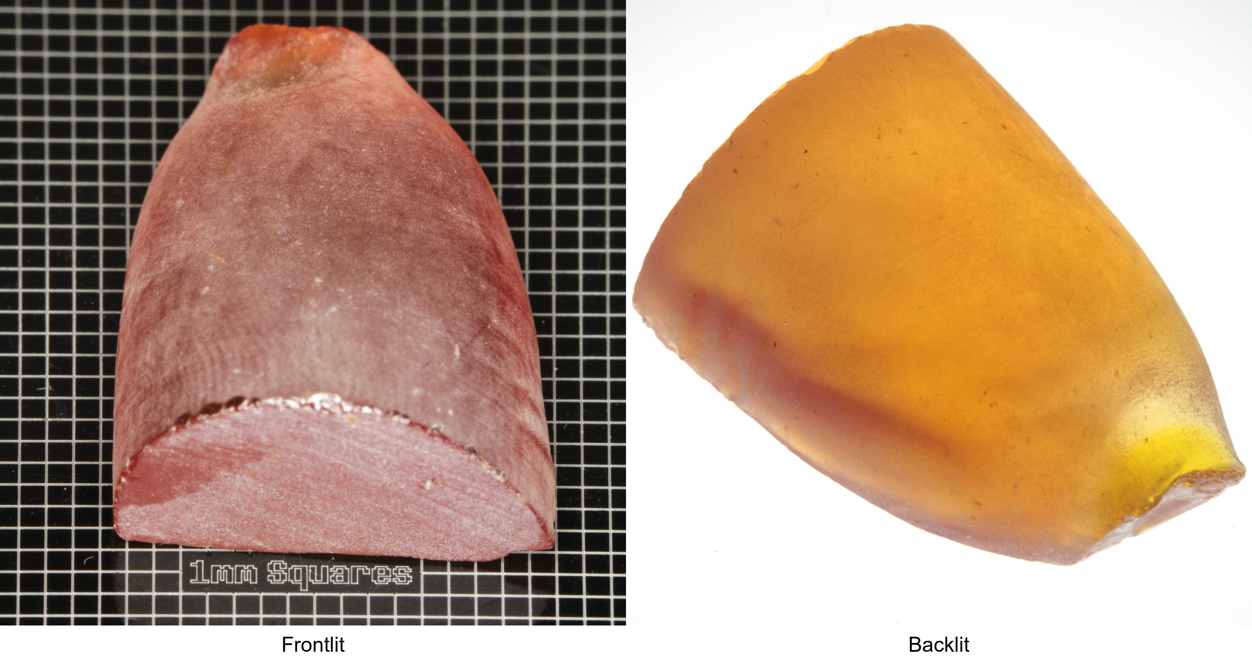 Rough Orange Flame Fusion Sapphire, Semicone Shaped Piece shown in both normal light and backlit.