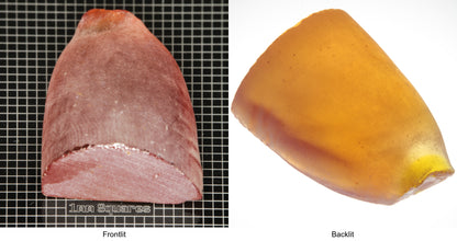 Rough Orange Flame Fusion Sapphire, Semicone Shaped Piece shown in both normal light and backlit.