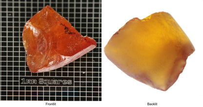 Rough Orange Flame Fusion Sapphire, Shard Shaped Piece shown in both normal light and backlit.